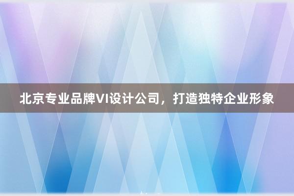 北京专业品牌VI设计公司，打造独特企业形象